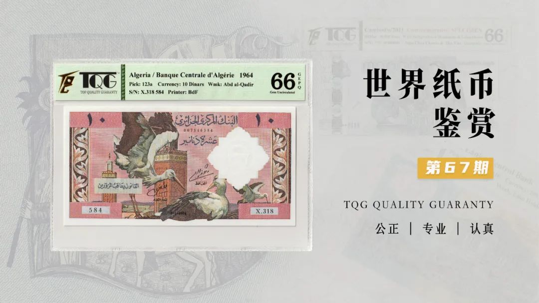 TQG | 世界纸币鉴赏