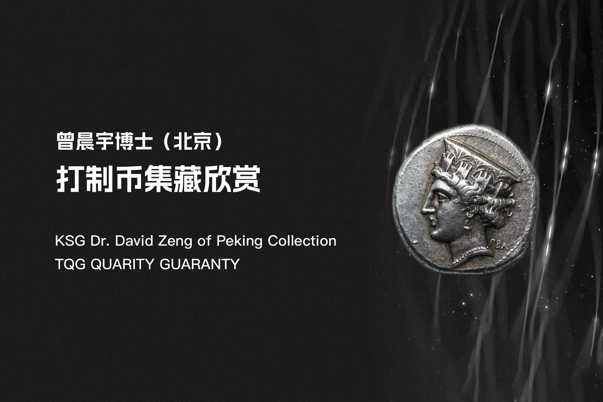 曾晨宇博士（北京）打制币集藏欣赏