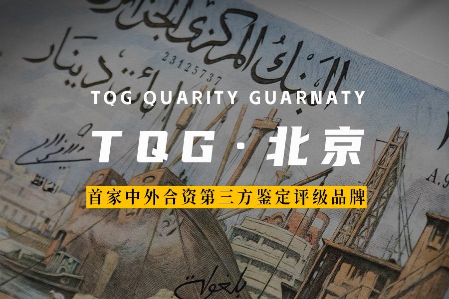 TQG视频｜宣传片