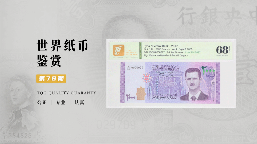 TQG | 世界纸币鉴赏