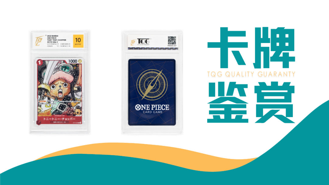 TQG | 卡牌收藏鉴赏