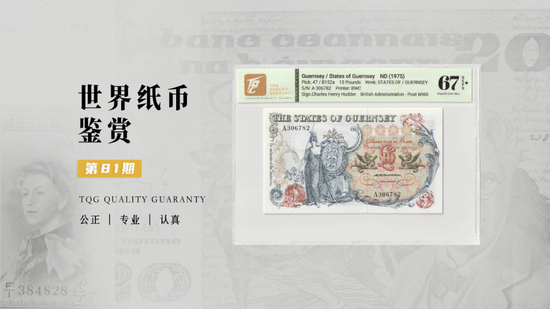 TQG | 世界纸币鉴赏