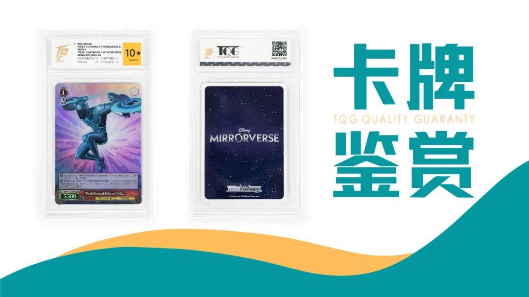 TQG | 卡牌收藏鉴赏