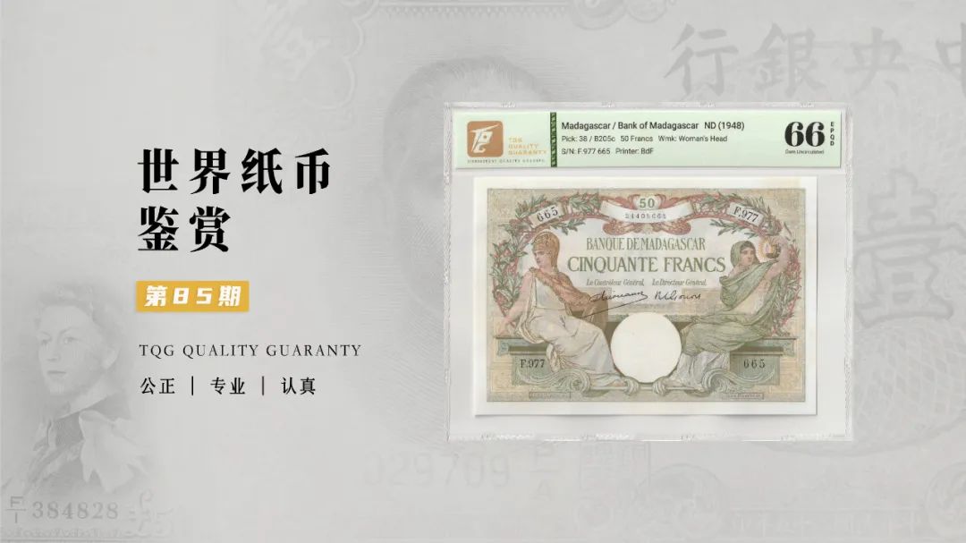 TQG | 世界纸币鉴赏
