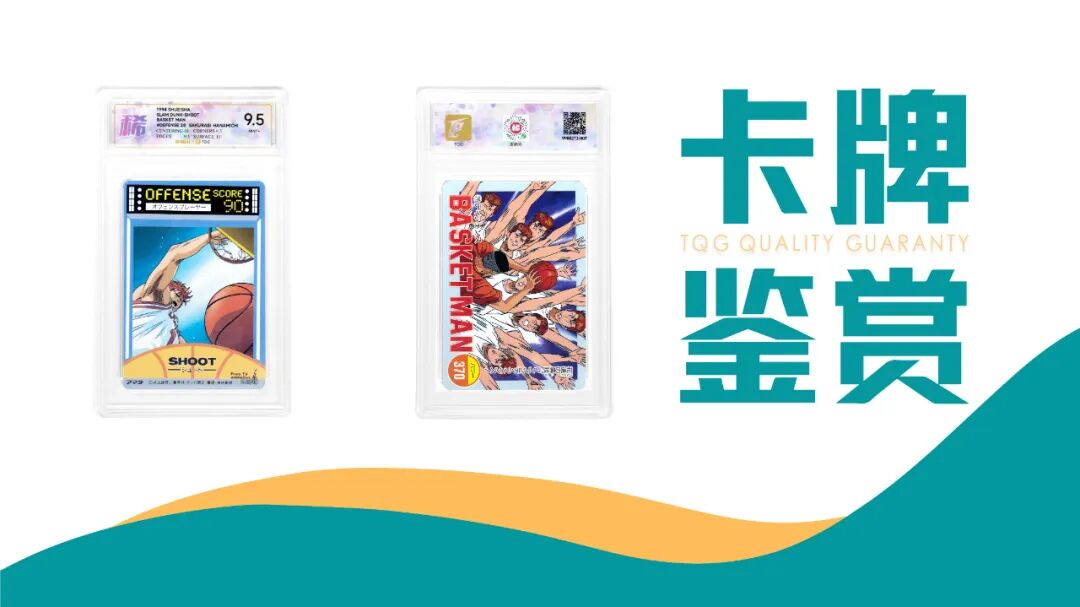 TQG | 卡牌收藏鉴赏