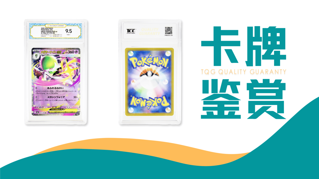 TQG | 卡牌收藏鉴赏