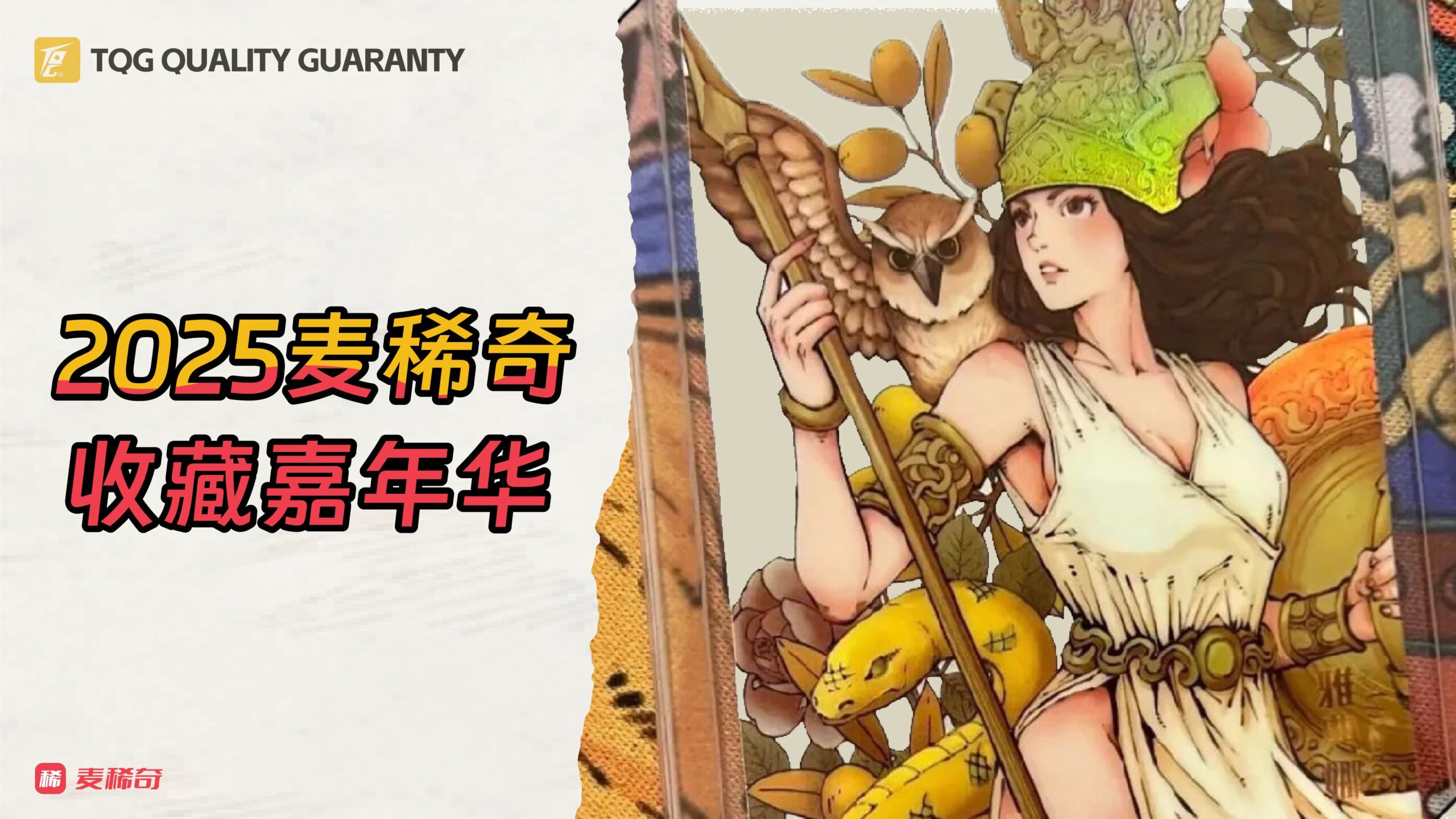 2025 麦稀奇收藏嘉年华